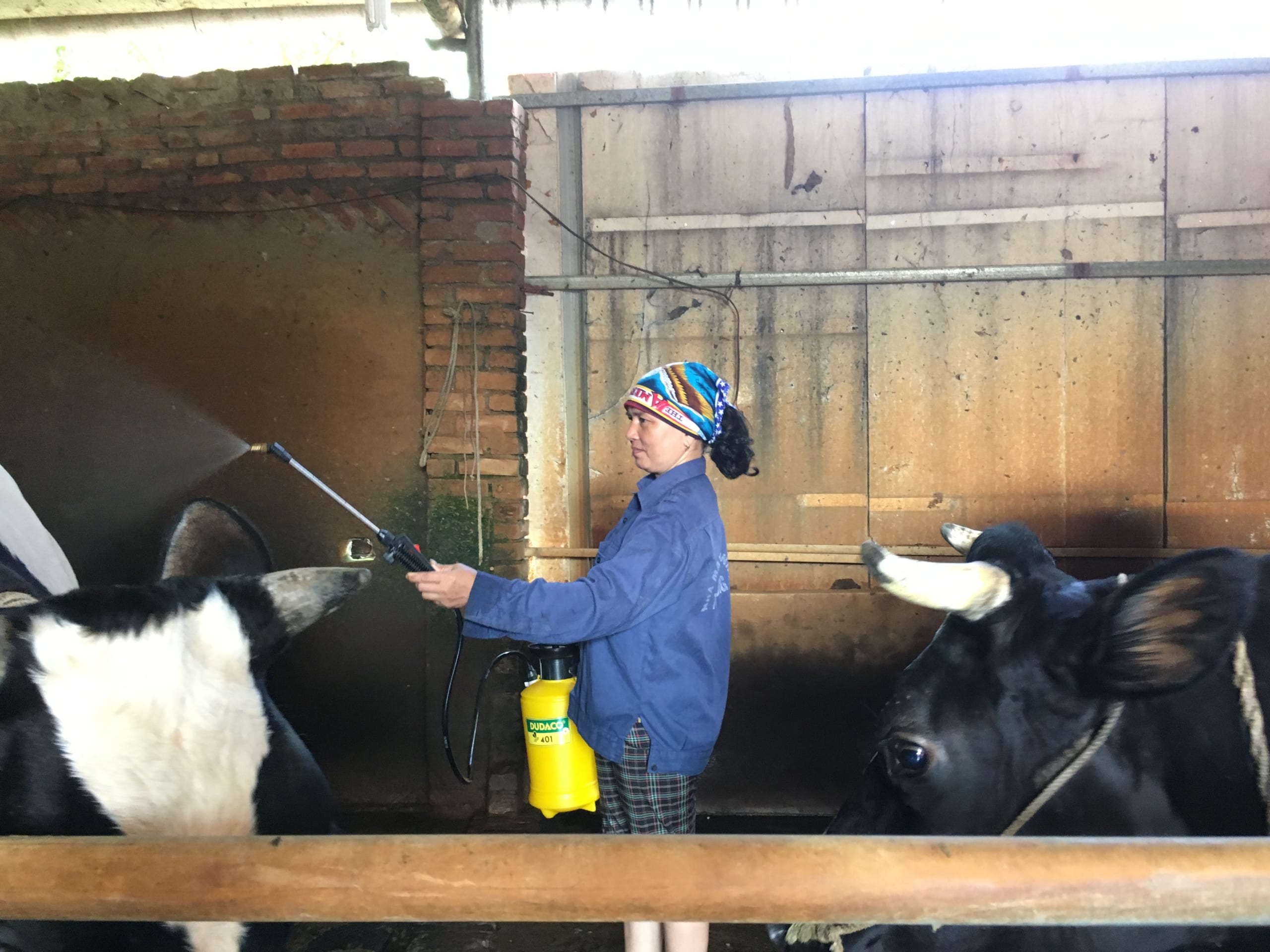 Ứng dụng công nghệ sinh học giải quyết ô nhiễm môi trường ở nhiều quy mô