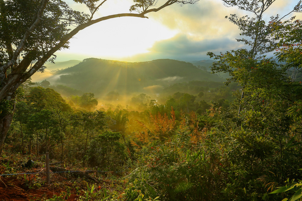 Măng Đen hoang sơ – nốt nhạc trầm lắng giữa núi rừng Tây Nguyên