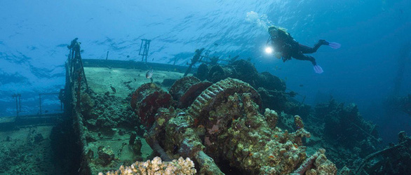 Siêu vi khuẩn gia tăng, giới khoa học chạy đua tìm thuốc mới ở ‘tủ thuốc’ biển sâu